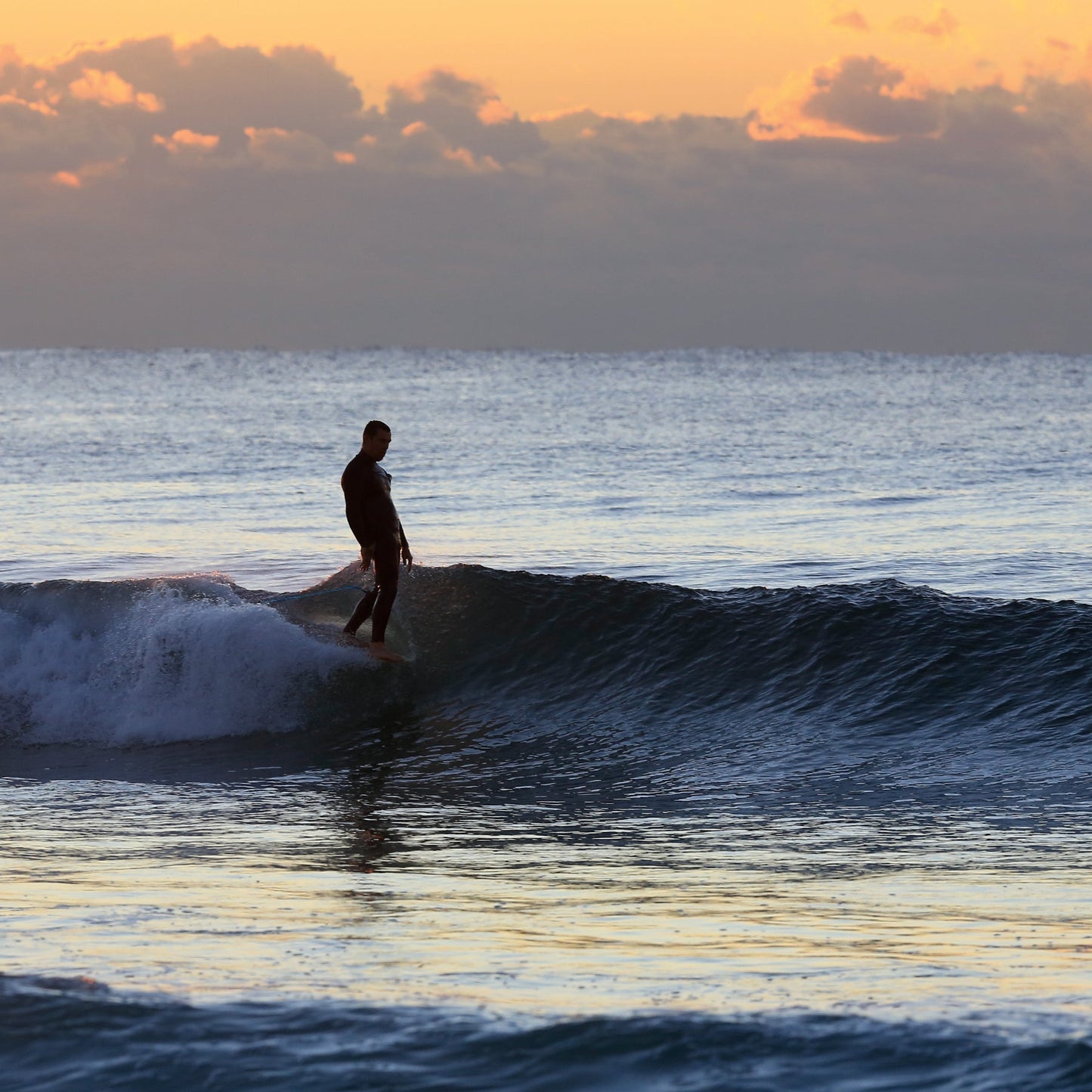 Longboard Premium One-XT - 9ft